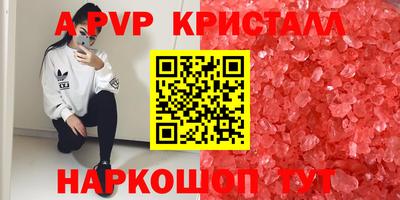 прущие грибы Комсомольск-на-Амуре